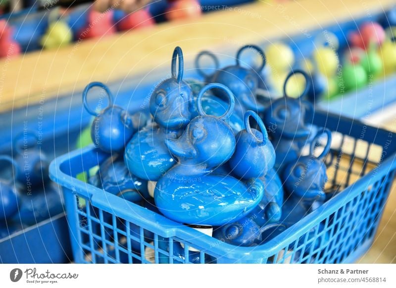 blue plastic fair ducks in a basket Duck fished Hunting hunting funfair won profit Fishing (Angle) birds Bird Ring Unicoloured Beak