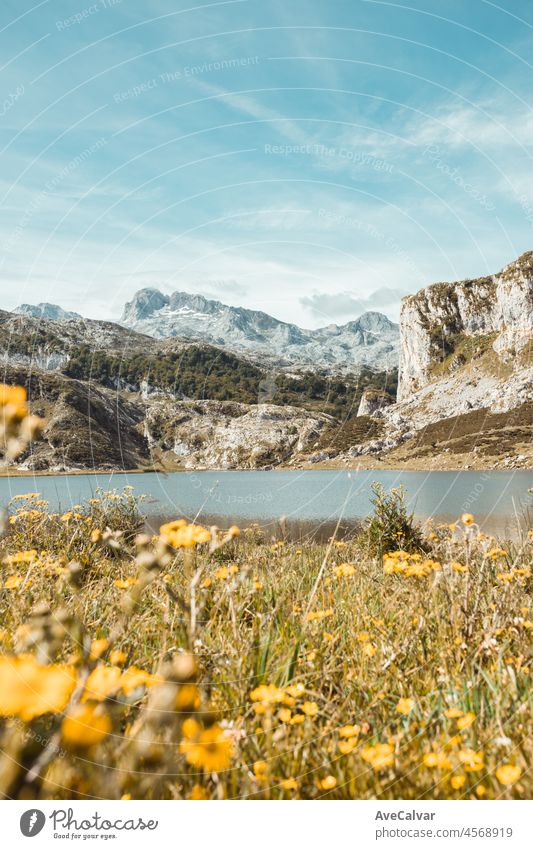 Picturesque summer landscape of highland Beautiful landscape with mountains. Viewpoint panorama in Lagos de Covadonga, Picos de Europa National Park, Asturias, Spain