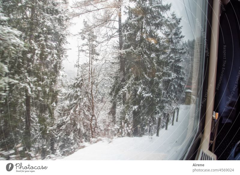 Tirol trip in winter Train travel Winter Winter vacation Snow Railroad White Cold Tyrol Rail transport Passenger train Rail vehicle Subdued colour Driving