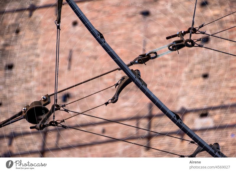 cable connection Cable Chaos Brown Transport Town Transmission lines Worm's-eye view Irritation Muddled Uniqueness Bizarre Network Overhead line Public transit