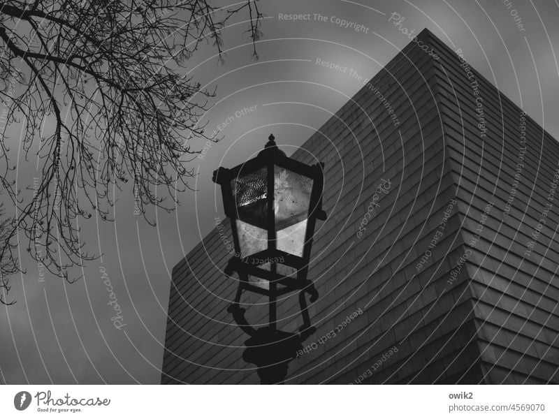 Dresden, Synagogue Religion and faith Concrete House of worship Exterior shot Deserted Wall (barrier) Wall (building) Shadow Architecture Modern Judaism