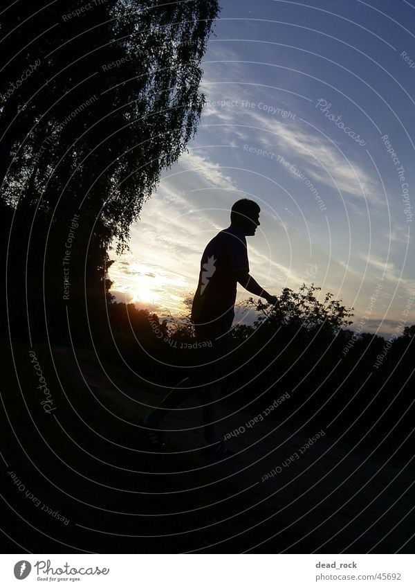 Long shadows Back-light Human being Man Sunset Shadow Crazy Evening Nature sun Down