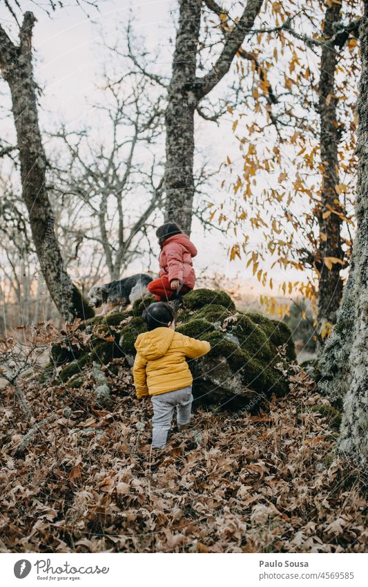 Brother and sister exploring the woods Brothers and sisters Child childhood 1 - 3 years 3 - 8 years Caucasian Infancy Human being Exterior shot Playing Day