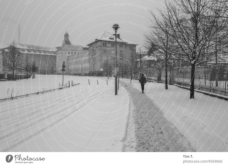 Winter with snow at the Humboldt Harbour in Berlin Humboldt Port Snow Middle Downtown Berlin Capital city Architecture Exterior shot Town City Germany b/w Day