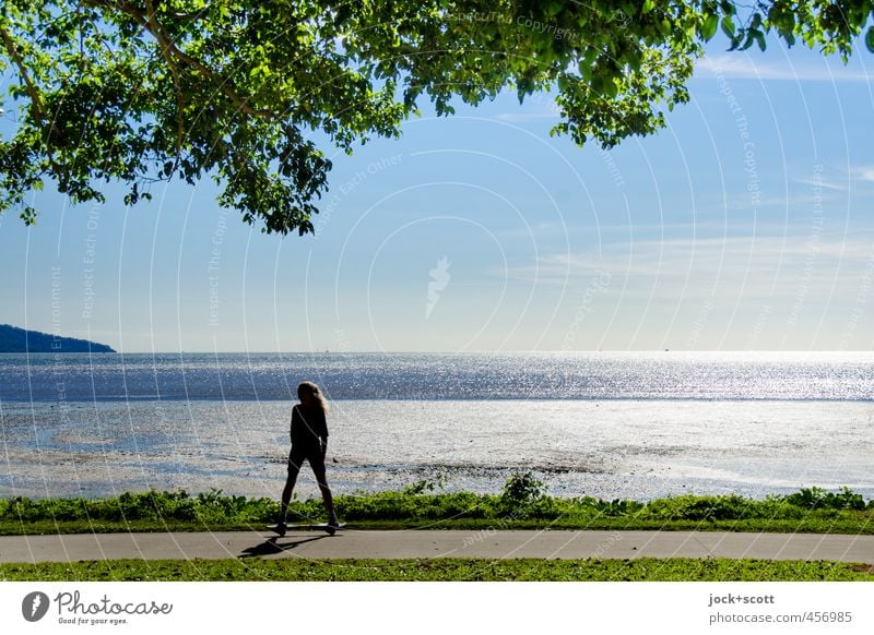 leisure in the blazing sun Far-off places Skateboard Youth (Young adults) Horizon Beautiful weather Warmth Exotic Branch coast Pacific Ocean Free Athletic