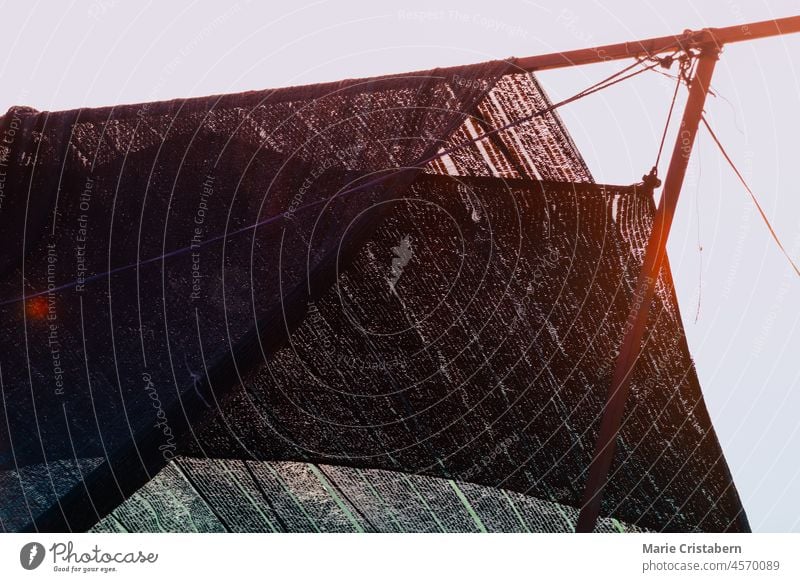 Close up of fishing nets hanged to dry and backlit by the sunset light in Mekong Delta, Vietnam mekong delta vietnam asia livelihood fishing industry