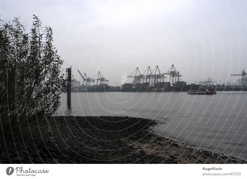 harbour grey Autumn Bad weather Watercraft Gloomy Gray Crane Industry Hamburg Harbour River Elbe industrial harbour Coast