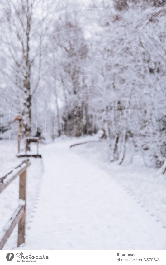 Blurred winter path in black bog Winter hazy Light blurred blurriness Abstract Bright Deserted Black Moor Rhön Nature Nature reserve Colour photo Exterior shot