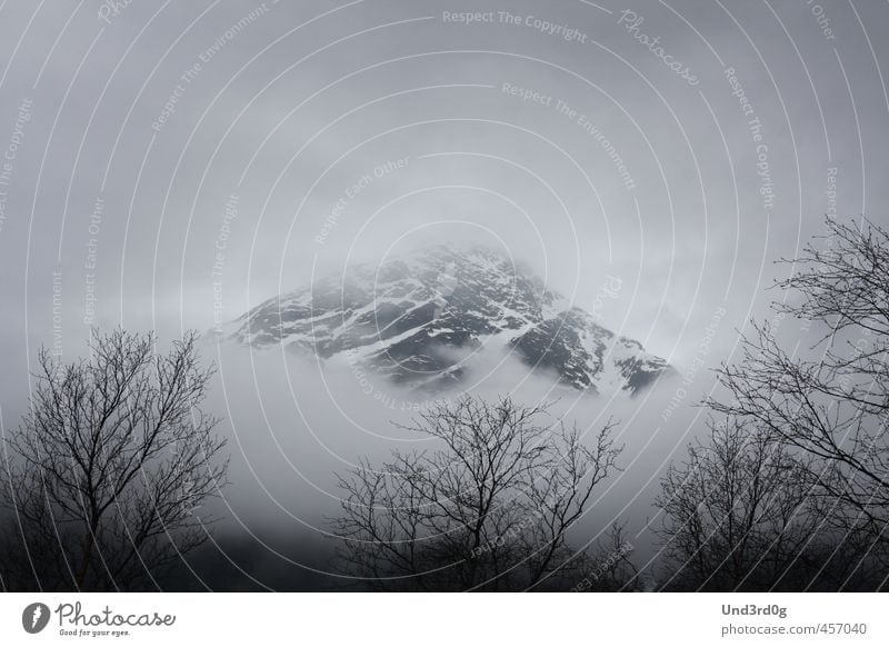 fog Landscape Fog Mountain Snowcapped peak Norway Deserted Creepy Secrecy Calm Adventure Exterior shot Dawn Panorama (View)