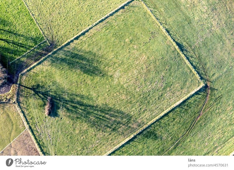 Meadow from above l Paddock Fences Bird's-eye view Structures and shapes cordon Safety Protection Barrier Pattern Exterior shot Aerial photograph UAV view