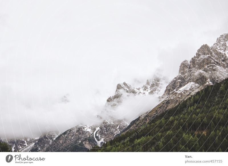 Cotton candy mountains² Mountain Hiking Nature Landscape Plant Sky Clouds Bad weather Fog Snow Tree Forest Rock Alps Cold Gray Green White Steep Colour photo