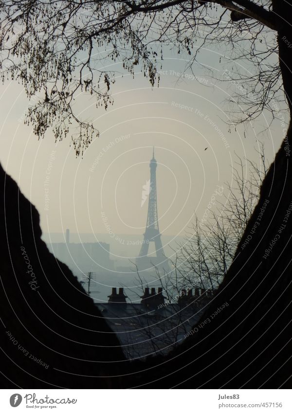 Hazy Paris Sightseeing City trip France Europe Town Capital city Tower Tourist Attraction Landmark Eiffel Tower Power Black & white photo Exterior shot Deserted