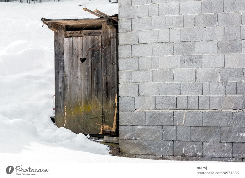 ¡Trash!2021 ¡Just get some peace and quiet. Or, if the cottage is fancier and homelier than the house. Wooden hut come to rest idyllically weathered Idyll