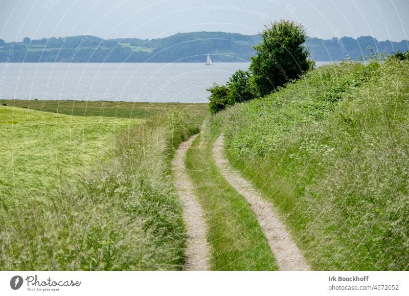 romantic field path through meadows to the waterfront Tracks Sky Lanes & trails Street Meadow Grass Field Footpath fields off the beaten track leave traces