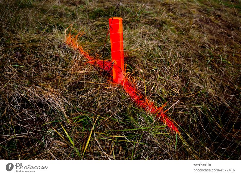 Marker for something Meadow Winter stake mark dash Line Border times measurement Construction site distance Grass Wood Wooden stake Farm Landscape Measurement