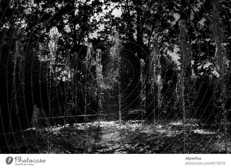 font of wisdom Well Fountain Drops of water Water Wet Exterior shot Inject Water fountain Deserted Day Bubbling Park Refrigeration Black & white photo Sunlight