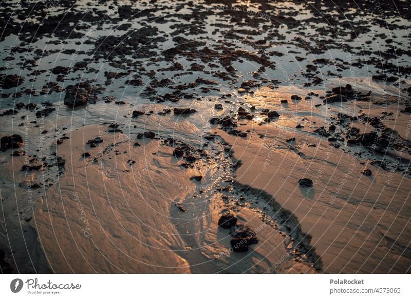 #A0# Coastal sand coast Sand Beach Fuerteventura Canaries Canary Islands Low tide ebb and flow Tide