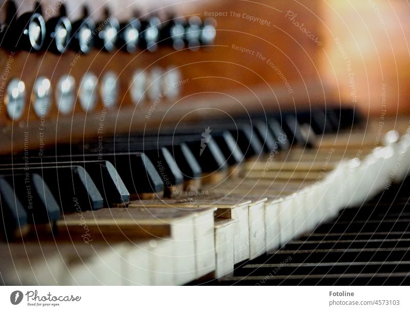 In a long abandoned church still stands the old, unfortunately already very dirty organ. The keys dirty, the organ long silent it slumbers. lost places Organ