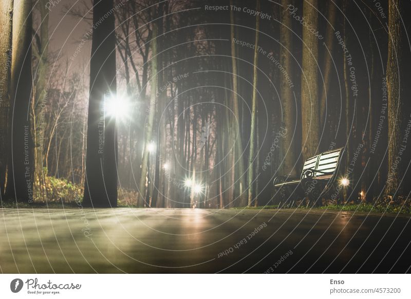 Empty park alley on a foggy night in late autumn bench moody nobody no people mist nature tree landscape view scene alone lonely season empty outdoors