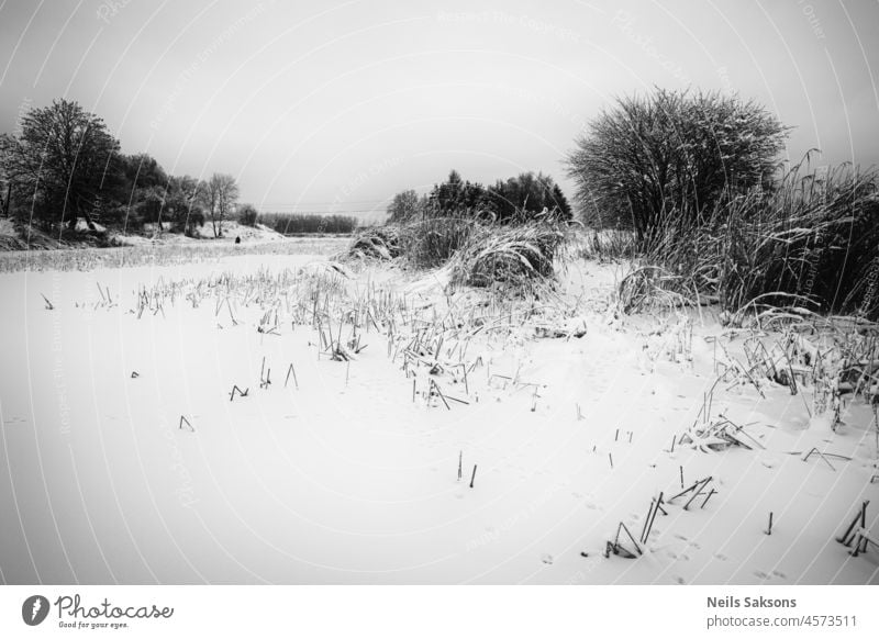 black and white winter landscape of snow and ice covered pond, trees and bush in Christmas time abstract background beautiful big freeze cold forest frost