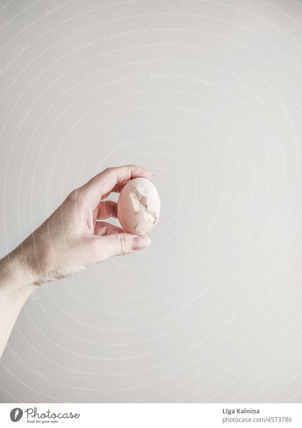 Hand holding boiled egg Egg Food Eggshell Breakfast Easter Easter egg Nutrition Brown Healthy Eating eggs Organic produce Hen's egg Close-up Colour photo