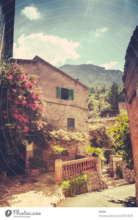 Blossoming life Vacation & Travel Summer Living or residing House (Residential Structure) Nature Sky Clouds Warmth Tree Village Small Town Old town Facade