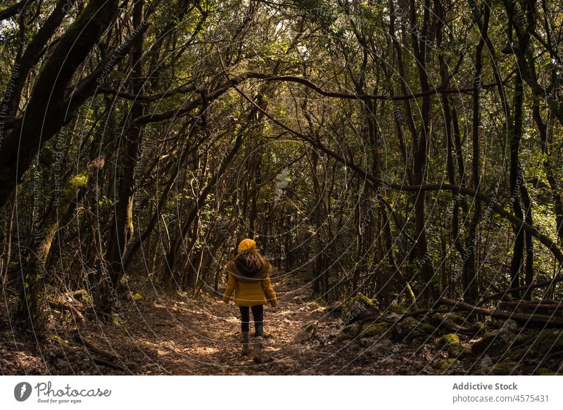 Unrecognizable lady walking in autumn woods woman hiker nature trekking forest woodland tree travel female explore trip wanderlust adventure spain tourist