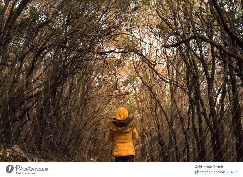 Unrecognizable lady walking in autumn woods woman hiker nature trekking forest woodland tree travel female explore trip wanderlust adventure spain tourist