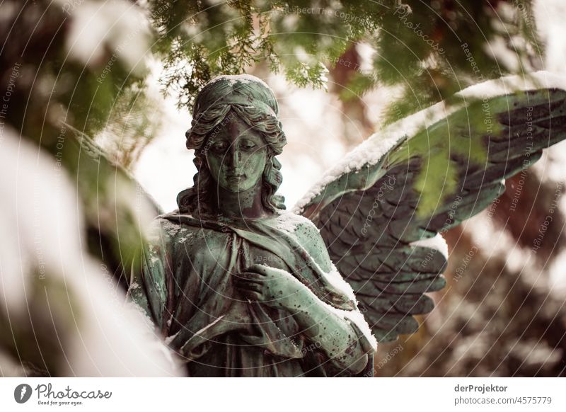 Angel in cemetery in winter Exceptional Esthetic Contrast Light Morning Deserted Copy Space middle Copy Space top Copy Space bottom Exterior shot Colour photo