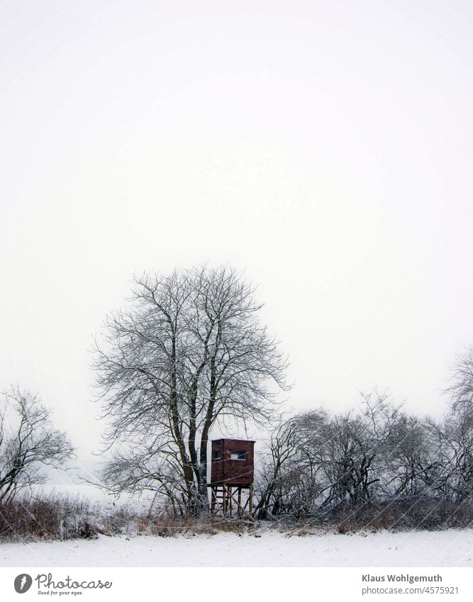 Snowy field path with trees, bushes and hunting pulpit Winter Winter mood Snowscape off the beaten track Hunting Jägerhochsitz Tree shrubby Hawthorn December