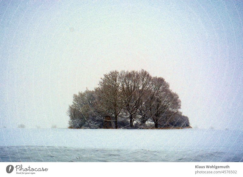 Small group of trees with hunting pulpit on snow covered field under cloudy sky Winter Winter mood Bushes Snow Snowscape Snow layer Loneliness Remote