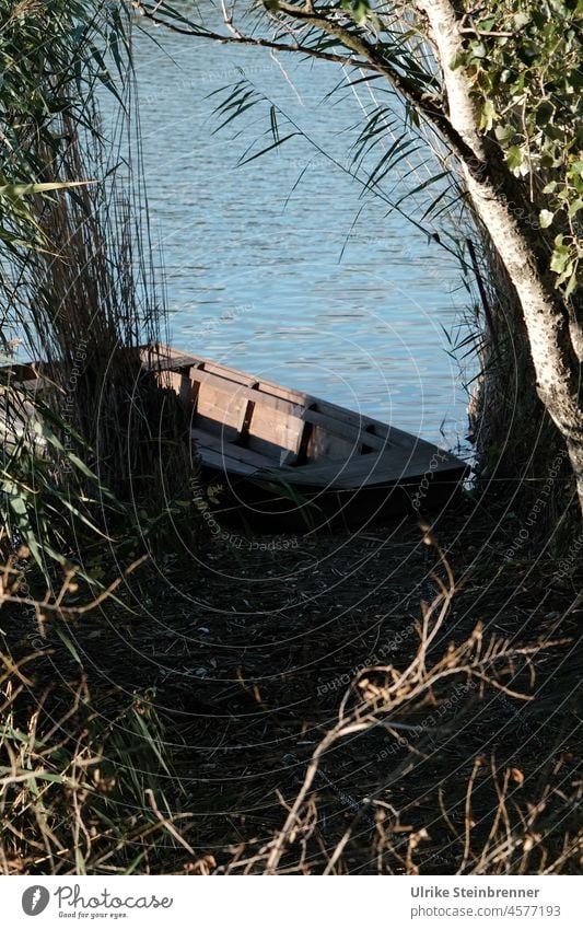 Hidden fishing boat on the shore of Szelid lake Nature reserve Berth Hungary Fishing boat Freshwater Water Fishing (Angle) Leisure and hobbies Relaxation