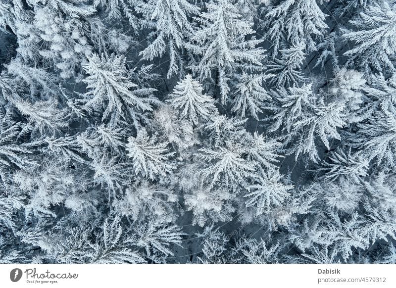 Aerial view of forest covered wirt snow winter aerial mountain tree nature background landscape flight woodland drone snowy poland europe cold country