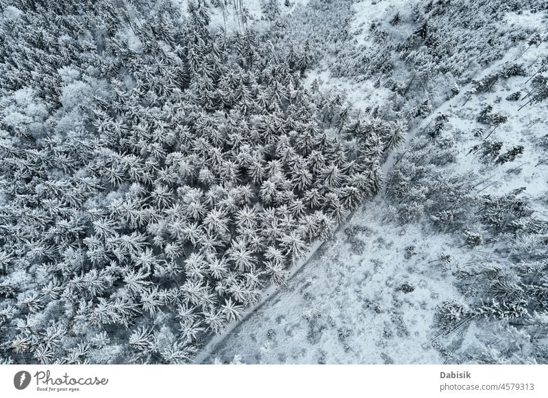 Aerial view of forest covered wirt snow winter aerial mountain tree nature background landscape flight woodland drone snowy poland europe cold country