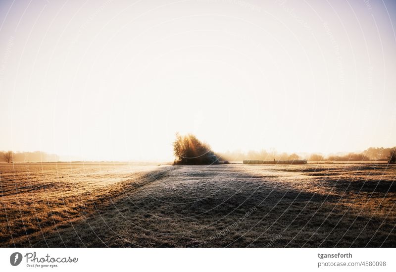 Winter morning in Emsland Winter mood onset of winter Nature chill Weather Frost December Cold Ice Northern Germany Morning long shadows Sunrise Forest