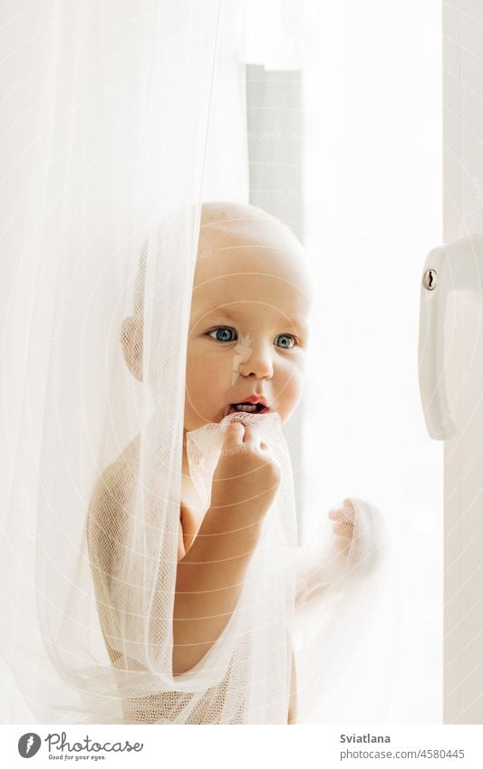 A little boy is standing on the windowsill near the window, hiding behind the curtain holding beautiful playing home kid baby childhood toddler small caucasian