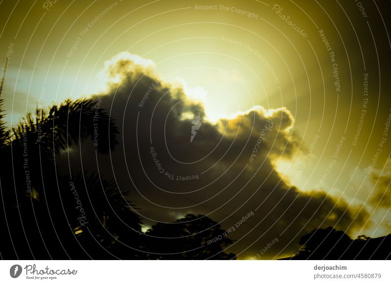 Ghostly mystical cloud formations in the sky in Binna Burra . Below almost black and above golden yellow illuminated by the sun. cloud landscape Exterior shot