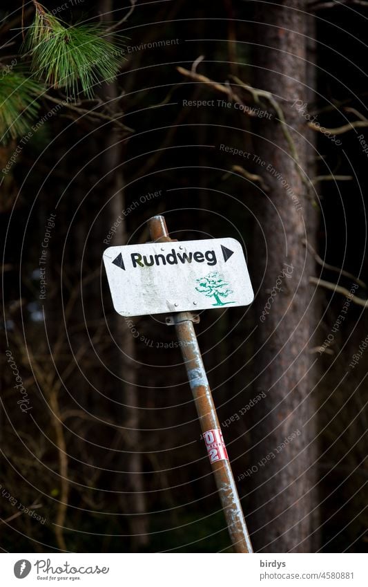 Roundabout, writing on a tin sign on a crooked post in front of a forest circular trail Signs and labeling Direction Arrow Forest slanting Orientation