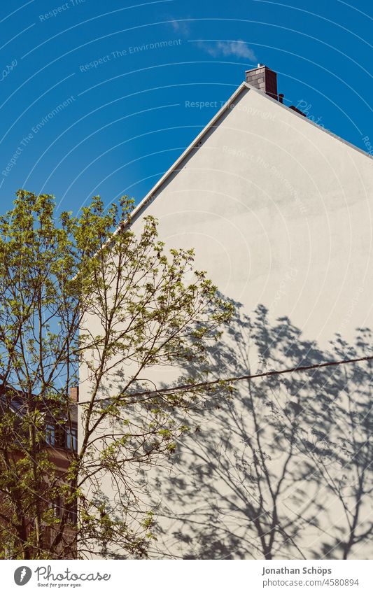 bare house wall with shadow of tree windowless Bleak Twigs and branches Tree Bright Deserted Exterior shot Wall (building) Plaster White Surface