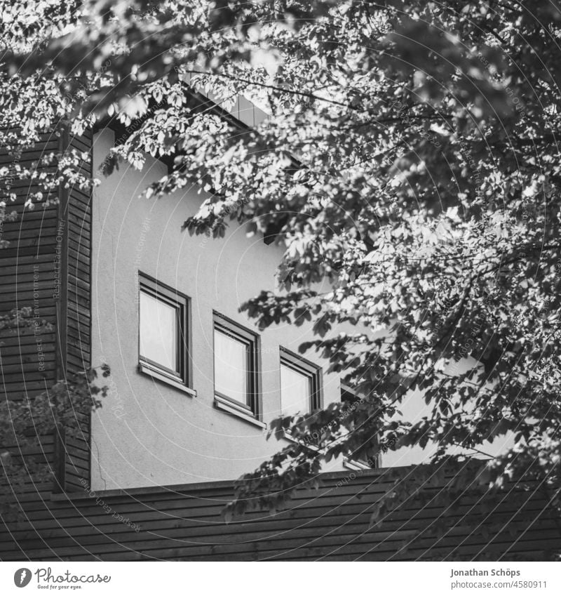 Windows on facade behind trees Style New building Modern downtown House building geometric Architecture architectural photography Modern architecture