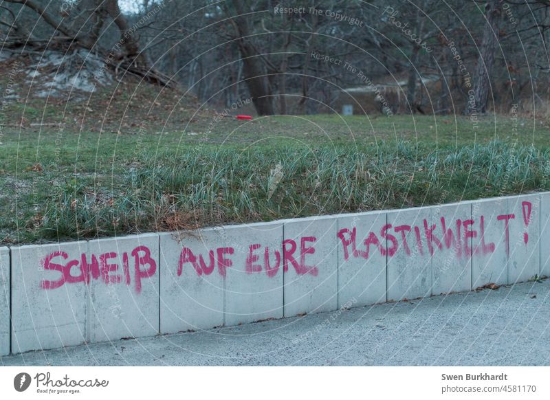 Graffiti with a statement plastic saying Crap Characters Exterior shot Wall (barrier) Facade Colour photo Word Typography Youth culture Daub Street art