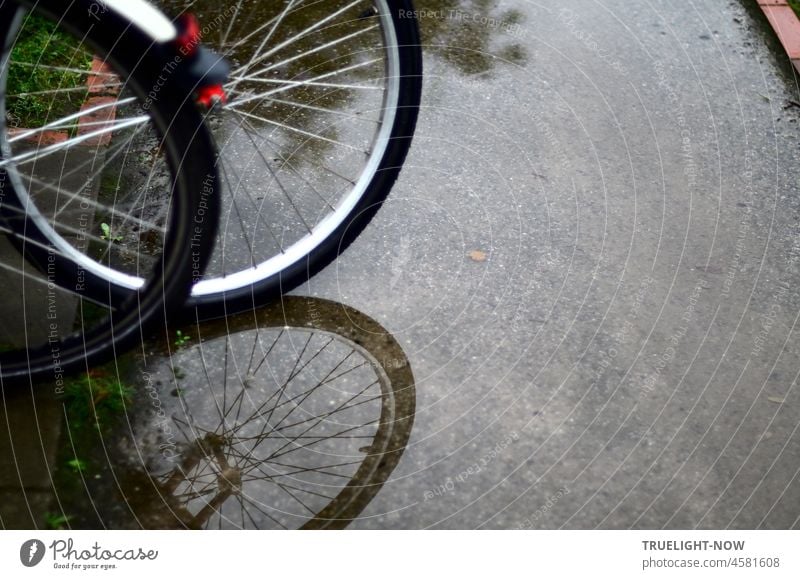 Better weather / Expect the bikes / That stand in the wet bicycles Rainy weather Bicycle Wet Water turned off Break Parking Wheel Garden path Deluge reflection