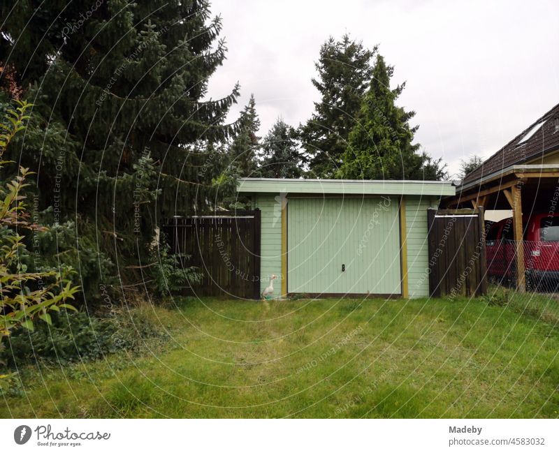 Green meadow with lime green garage in the garden of an estate in Steinhude at the Steinhuder Meer near Wunstorf in the district of Hanover in Lower Saxony