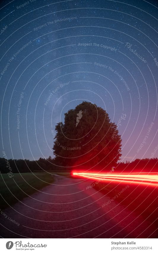 Milkyway over a tree with red light trails of a bike at a starry night. light-trails road countryside galaxy universe infinite path choice fork decision split