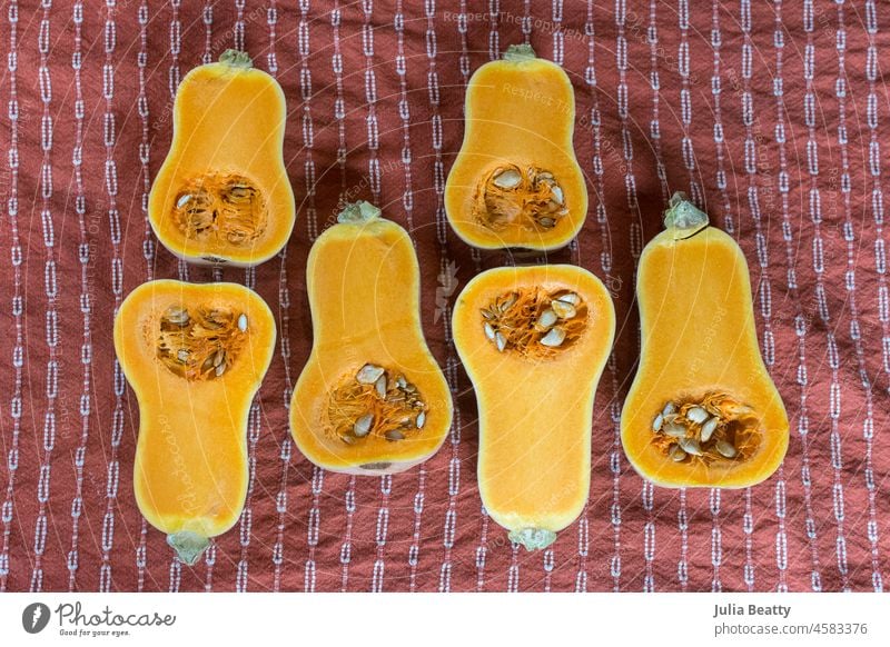 Honeynut butternut squash cut in half laying on a rust orange towel; prepping squash for cleaning and cooking honeynut squash butternut squash mini miniature