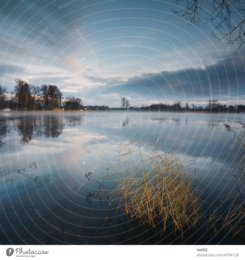 radio silence Pond Lake Twilight sunset Colour photo windless Loneliness Calm Nature Clouds Environment fauna Water Horizon wide Panorama (View) Lakeside