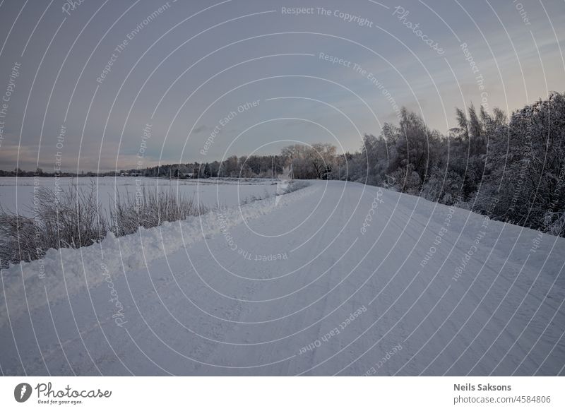 slippery snow covered country road, perfect wintertime background beautiful blue car cold countryside day december forest frost frosty frozen highway hoarfrost