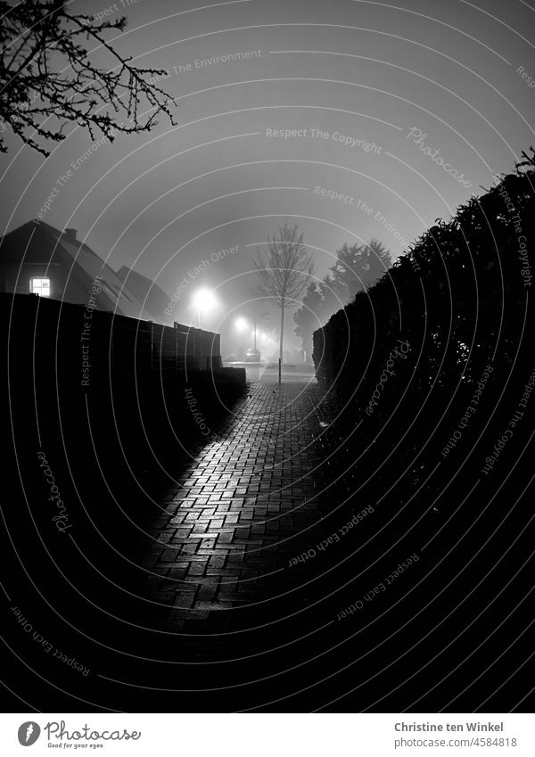 Foggy atmosphere in the evening in a quiet residential area with a lonely dark road Misty atmosphere Calm Lonely Eerie Cobbled pathway street lamps houses