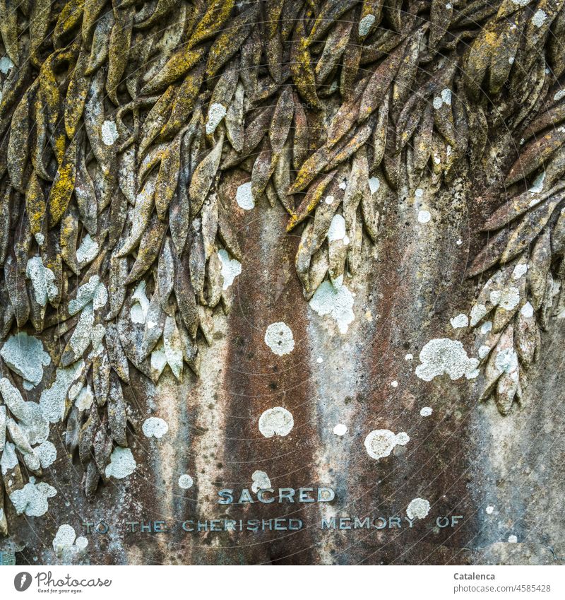 Sacred to the cherished memory of Tombstone Inscription leaves Stone Cemetery Weathered Moss Death Grief Grave Funeral Old Calm Peace Day daylight Brown Gray