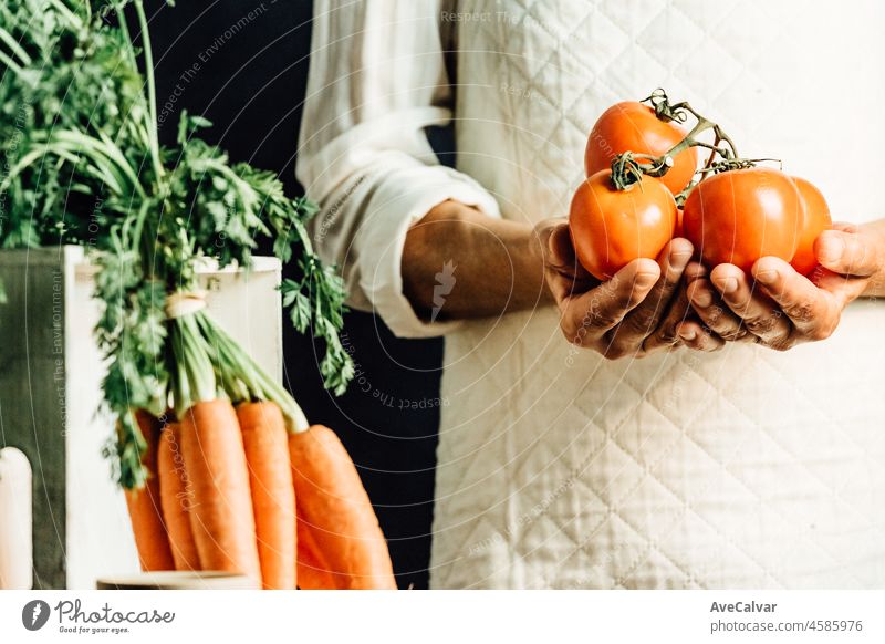 Female farmer holding wooden box with gathered vegetables before preparing food, closeup with copy space. Healthy organic food, vegetables, agriculture,products for cooking. Dark background cinematic